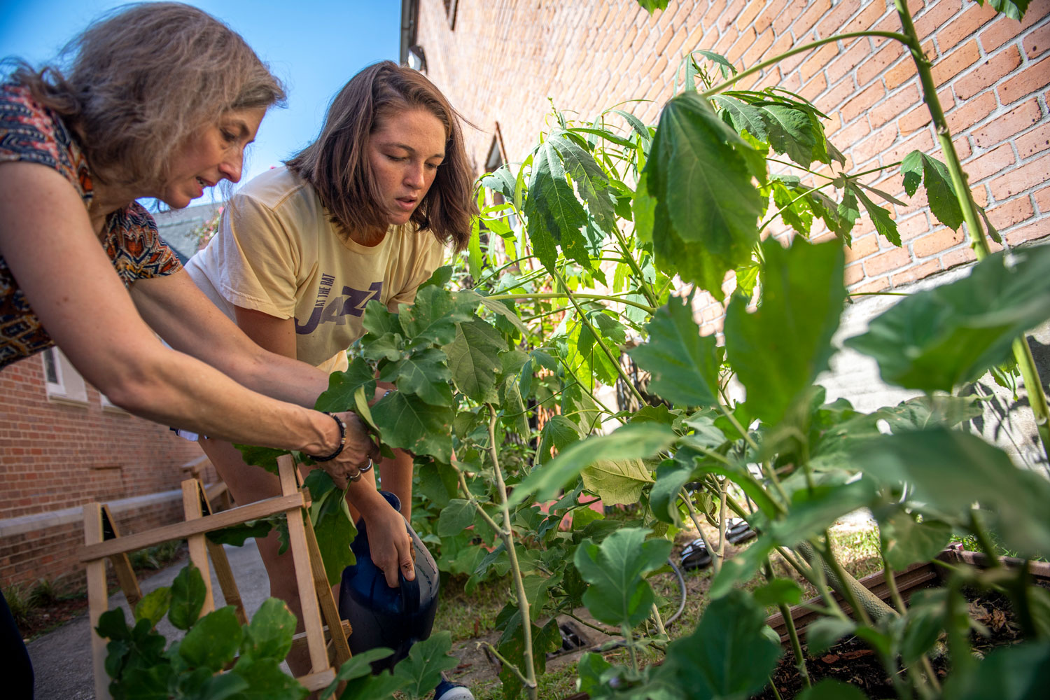 Two people gardening